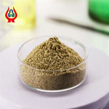 Powder Cellulose CMC Food Additive FM6 99% Min CMC Food Grade