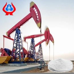 Oil Drilling Grade CMC And PAC Factory Direct Sell With High Purity And Apparent Viscosity
