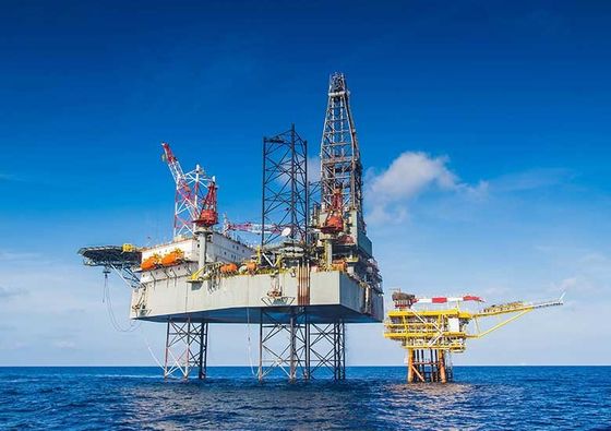 Quality High viscosity and good filtration volum for oil drilling mud factory